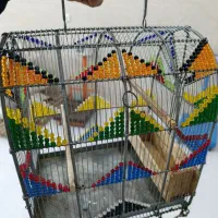 قفس|لوازم جانبی حیوانات|آستارا, |دیوار