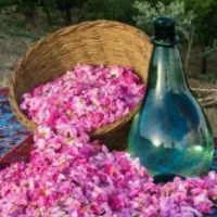 گلاب میمند فله ای ۲۰ لیتر موجود