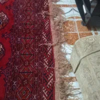 فرش ترکمنی دست بافت|فرش|کردکوی, |دیوار