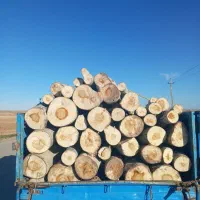 برش انواع درخت