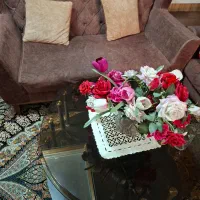 مبل راحتی|مبلمان خانگی و میز عسلی|اهواز, سپیدار|دیوار