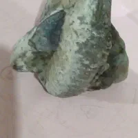 فسیل شبیه به کله فیل