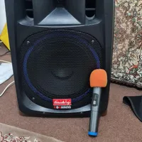 اکو همراه نو آهنگ همراه میکرفن بی سیم