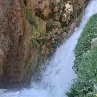 آبشار بیشه زیباترین آبشار خزه ای