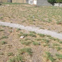 زمین خاتونک با شرایط استثنایی مستقیم از مالک فوری|فروش زمین و ملک کلنگی|شیراز, کرونی(خاتونک)|دیوار