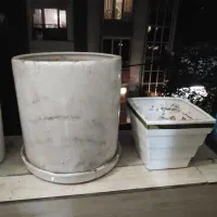 گلدان چینی|گل و گیاه طبیعی|تهران, دولاب|دیوار