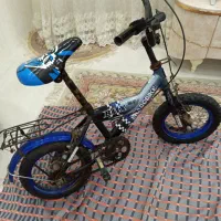 دوچرخه سالم مدل ۱۲