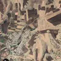 زمین کشاورزی دیم م ت و ام