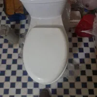 توالت فرنگی