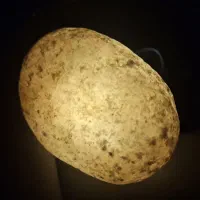 سنگ