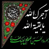 کاروان زیارتی کربلا