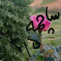تیر اسباب بازی چهارونیم