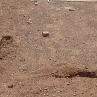 زمین مسکونی