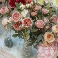 ادمین حرفه ای