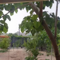 خانه باغ سند دار