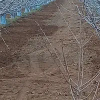 ب سلام سمپاش و خردکن کرای درخدمت دوستان عزیز هستم|خدمات باغبانی و درختکاری|اشنویه, |دیوار