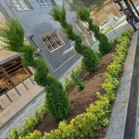 باغبانی گل کاری هرس وتعویز خاک گلدان|خدمات باغبانی و درختکاری|تهران, بوستان چیتگر|دیوار