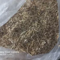 کاه کزل دان دار