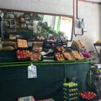 کمک دست میوه فروشی