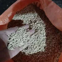 خوراک دام|لوازم جانبی حیوانات|مشهد, رباط طرق|دیوار