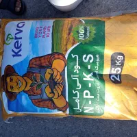 خرما کروت دونم