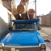 خرید‌انواع‌چوب‌های‌باغی