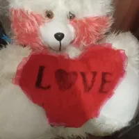 رورئوک و اسباب|کالسکه و لوازم جانبی|مشهد, نظام دوست|دیوار