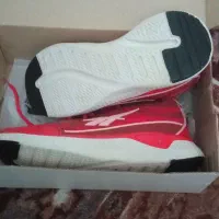 کفش ورزشی سایز ۳۷|کیف، کفش، کمربند|خوی, |دیوار