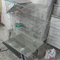 قفس چوبی قفس جوجه پران درب پنجره تابلو|لوازم جانبی حیوانات|خوی, |دیوار