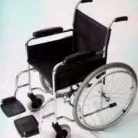 یک عددویلچر ساده ونو