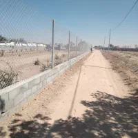 فنس کشی|خدمات باغبانی و درختکاری|شاهین‌شهر, گزبرخوار|دیوار