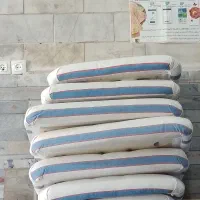 استخدام منشی