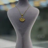 کم اجرت پلاک طاوسی در حد نو