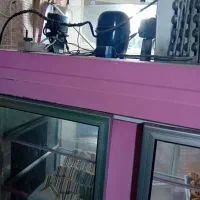 یخچال ویترینی ایستاده|یخچال و فریزر|سامن, |دیوار