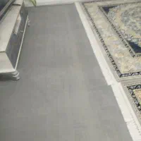 موکت در حد نو