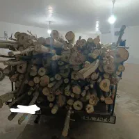خریدار چوب درختان شما و هرس در محل