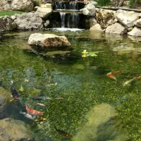 طراحی و اجرای آبنما و استخر ساحلی