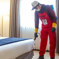 سم پاشی ساس گال موش سمپاشی موریانه زدایی