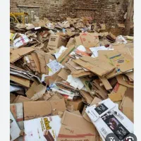 کارتن ظایعاتی