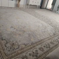 فرش ۱۲ متری پتینه نو