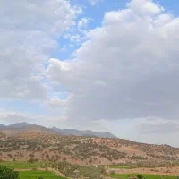 زمین ابیاری برنج کاری معاوضه با ماشین و گوسفند