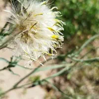 انجام امورات داخل وخارج ازمنزل