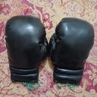 دستکش بوکس و ووشو|تجهیزات ورزشی|قم, آذر (نکویی)|دیوار