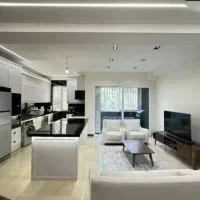 خانم جوان برای رسیدگی امور منزل