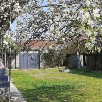 اجاره ورزش/ویلا۴۰۰مترروزانه شبانه کوتاه مدت ساحلی|اجارهٔ کوتاه‌مدت ویلا و باغ|خشکبیجار, |دیوار