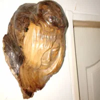 اشک چوب|مجسمه، تندیس، ماکت|تهران, خاک سفید|دیوار