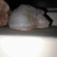 سنگ های قیمتی فروشی