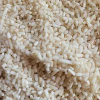 لاشه برنج هاشمی