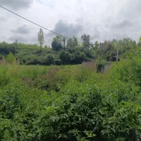 فروش360متر-زمین-باغی-ویودار-کنار-رودخونه