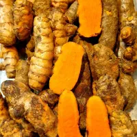 زردچوبه تازه درجه۱|خوردنی و آشامیدنی|شیراز, تندگویان|دیوار